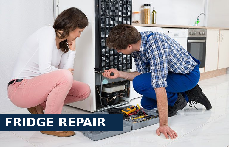Fridge Repair Seven Sisters